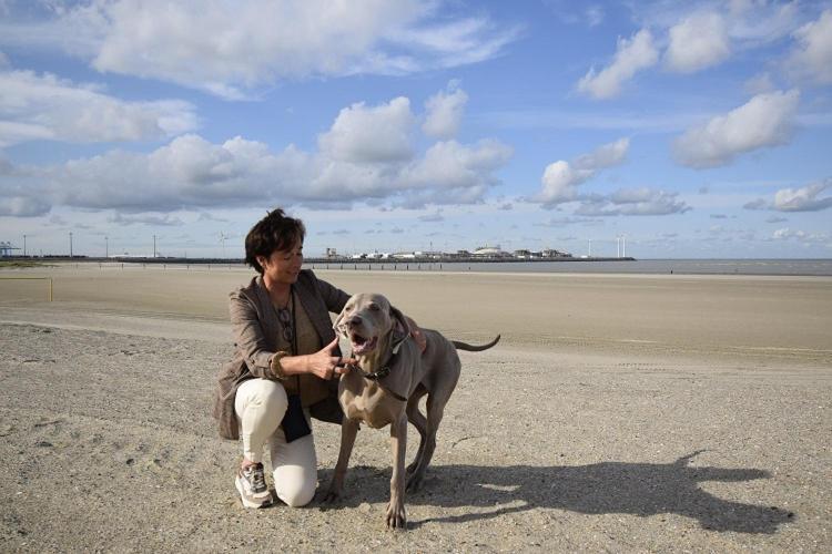 Hotel Ter Duinen - La Guera クノック・ヘイスト エクステリア 写真